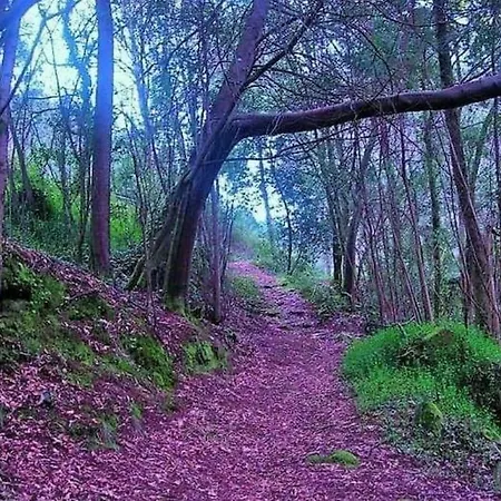 Precioso Vacacional En Galicia Appartement Santa María